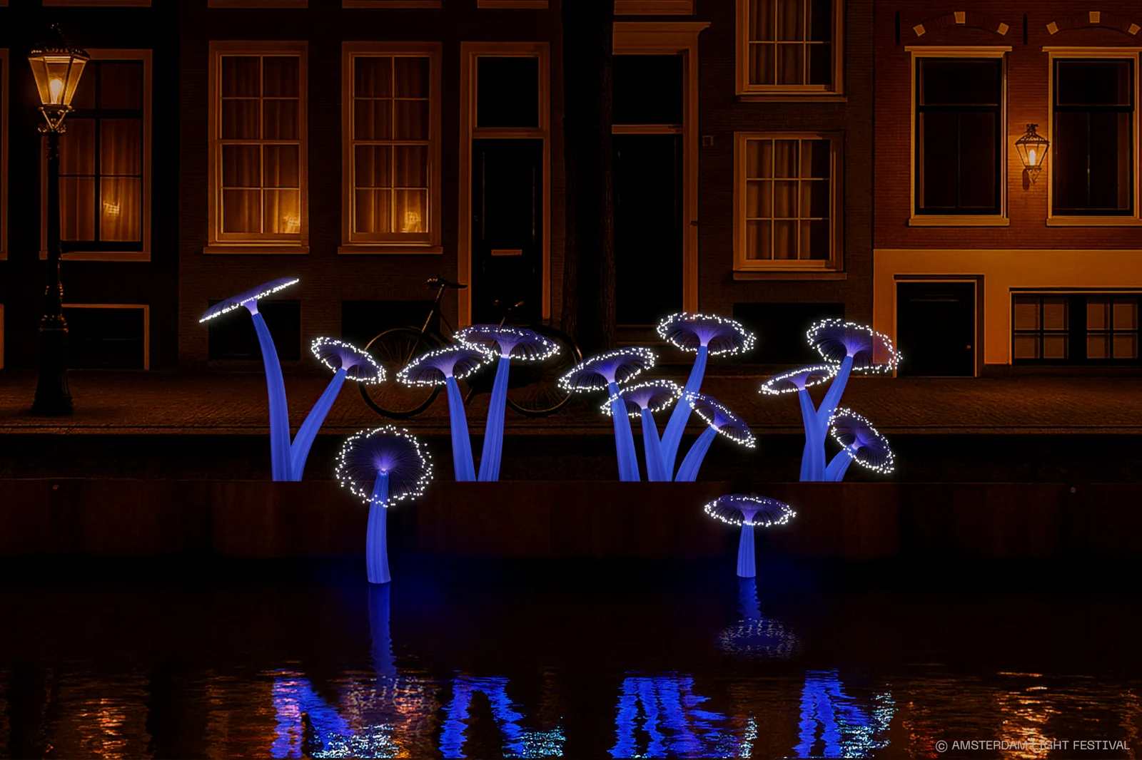 Coral Luminance – Henry Hu, Amsterdam Light Festival editie 14