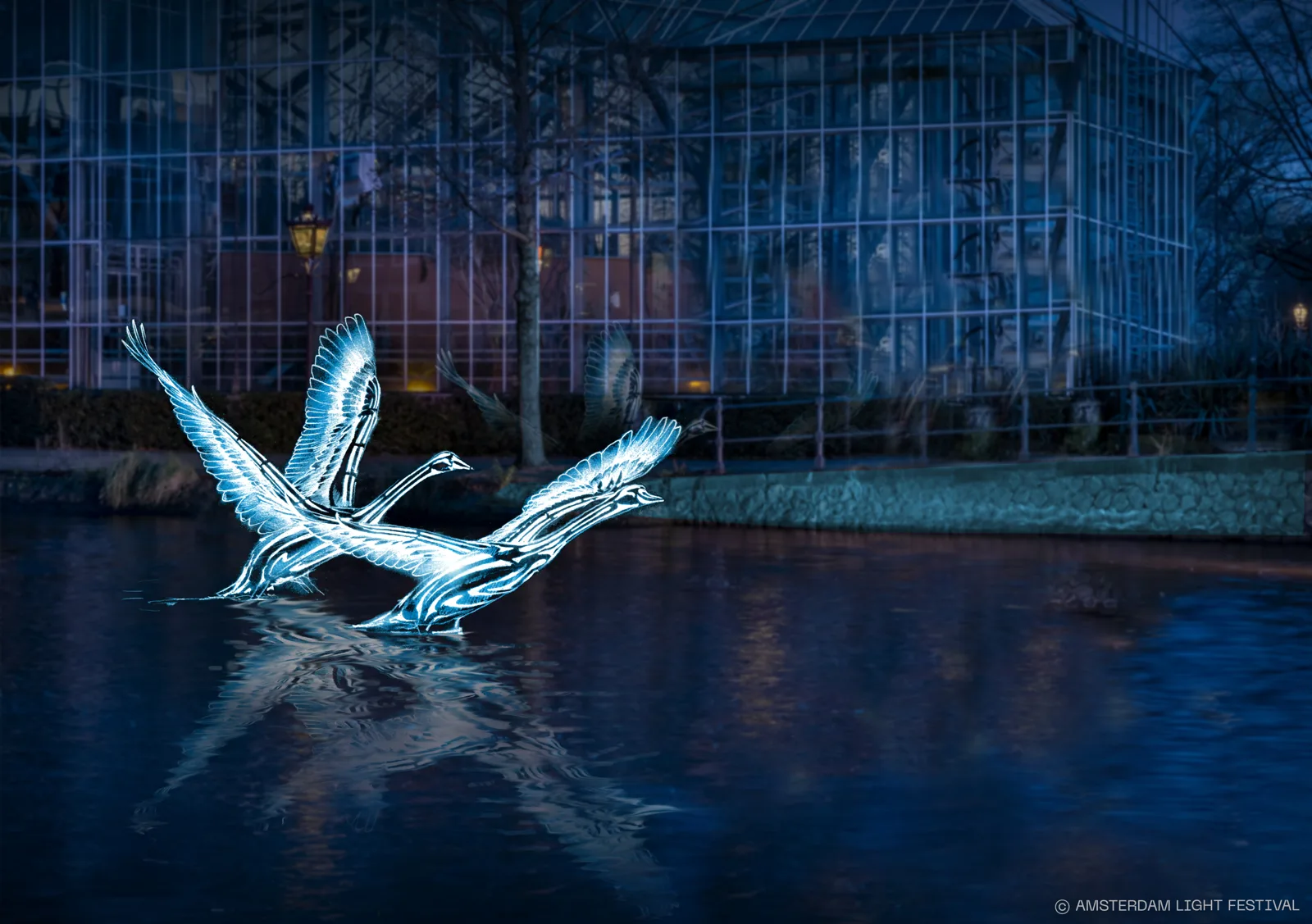 Swans – Jon Voss, Amsterdam Light Festival editie 14