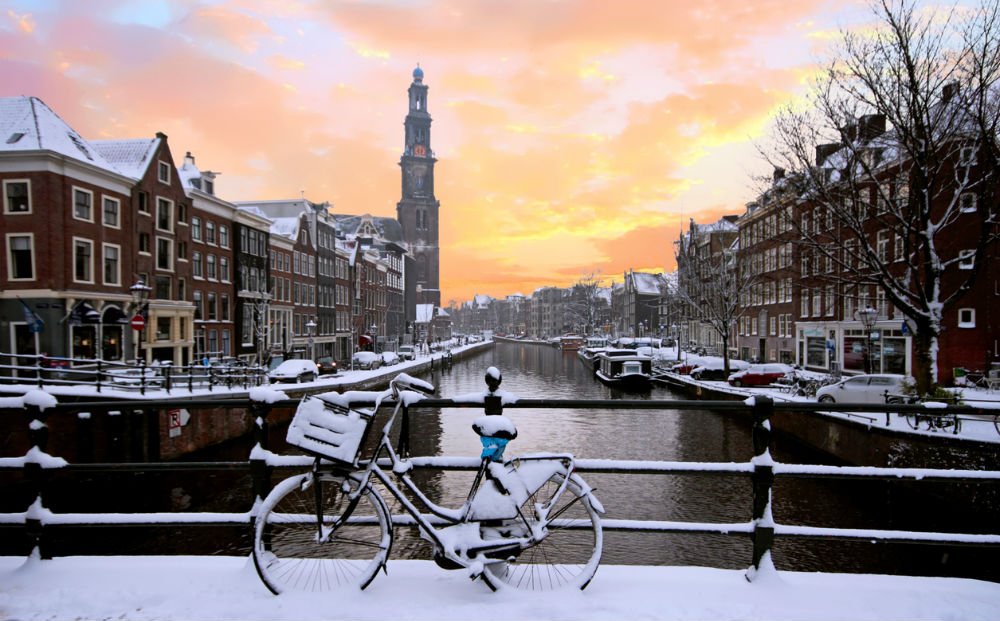 Kerstuitje en varen in Amsterdam