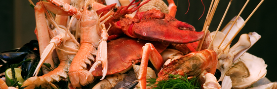 Croisière avec Fruits de Mer Amsterdam